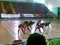 admix sman 28 jakarta @ skybattle
