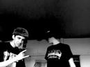 WWW-Trogdor (Strongbad Cover) WWW-Trogdor (Strongbad Cover)