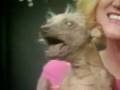 Video Perro feo