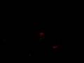videos de River city Rebels, nebraska 4