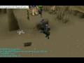 killing hillies in runescape
