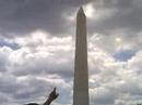 Kevin Geografic - Washington (Dildo de Géant) Kevin Geografic - Washington (Dildo de Géant)