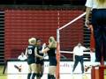 Volleyball Shorts