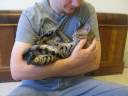 AJSavannahs F3B Ellie Meica F2B Tessa 112808.wmv AJSavannahs F3B Ellie Meica F2B Tessa 112808.wmv