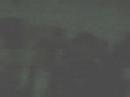 YERSINIA PESTIS - NO MAS RGTON