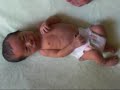 Baby Warren\ Baby Warren\
