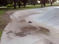 rc car backflip