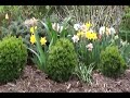 April Flowers & Chirping Birds