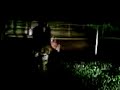 papaga-o y ronco noxville en estrellate 2