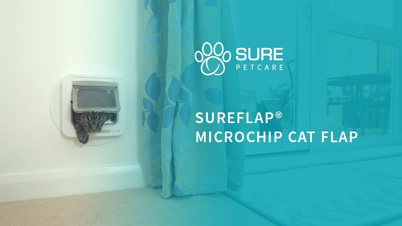 SureFlap Microchip Cat Door & Toy Dog Door Aussie Pet Doors Dog