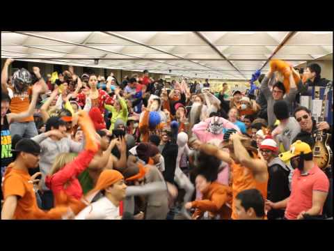 ut - Hook 'em Horns! (or Shake 'em Horns) Thanks to everyone for participating Song Credit: Baauer - Harlem Shake Audio: http://www.youtube.com/watch?v=Bk1_DbbzSd...