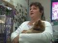 WAREHAM, MA, MA- $1,000 Stolen From Struggling Animal Shelter- Wareham, MA