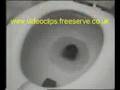 funny vedeo