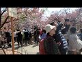 ３０分待って、開門です。２０１２－０４ー１８日 ＜ 水 ＞