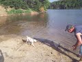 Poo and her stick