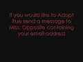 Colour Over Mew adoption Agency (All adopted) Colour Over Mew adoption Agency (All adopted)