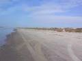Isle of Palms beach, South Carolina