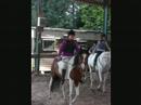 stage d �quitation