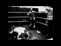 Drastic-Measures-Sun