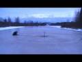 videos de Napakelkkailua....edelleen