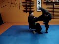 Bujinkan 2 Bujinkan 2