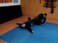 Bujinkan 2
