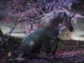 videos de Pretty Unicorns