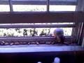 Sunny window