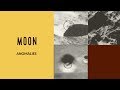 NASA LUNAR ORBITER MOON ANOMALIES VIDEO