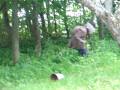 ghost in LATGALE