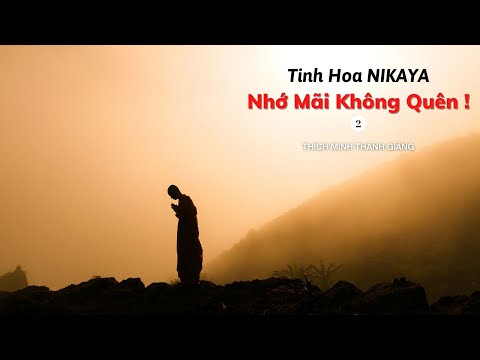 Tinh Hoa NIKAYA - Nhớ Mãi Không Quên 2 !