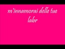 per te.wmv per te.wmv