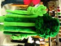 brocoli costume brocoli costume