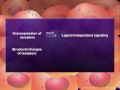Introduction to Canc