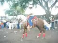 Chino Armenta en Potrillo Lusitano \"El Centenario\" Chino Armenta en Potrillo Lusitano \"El Centenario\"