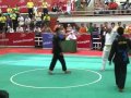 PENCAK SILAT Eka Yulianto INA vs Phan Van Ty VIETNAM SEA GAMES, 14 11 2011