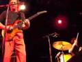 Adrian-Belew-Power-T