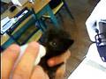 Still Feeding