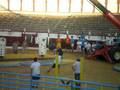 videos de L.Q.F GRAN PRIX 