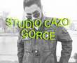 ervin 2008 album 1-studio cazo gorce