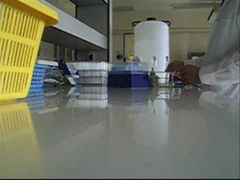 how to isolate phages