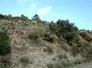 SERRA DE S. DOMINGOS I