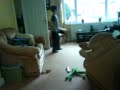 High School Musical Dance Along - funniest thing ever!!