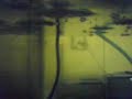 MOV00636 MOV00636