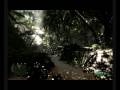 videos de Crysis - Beautiful Amazonia River Map  (DX10 1680x1050 All Max)  GTX260(216) Q9550
