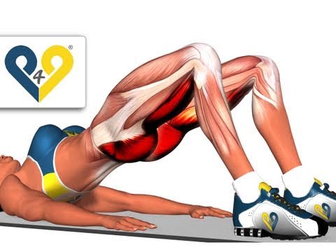 exercice pour les fessiers