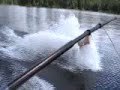 barefooten big moose lake