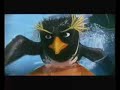 mon skyblog : surfon.skyblog.com bo du film 'les rois de la glisse ' en vf