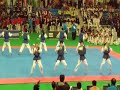 Taekwondo dance