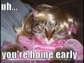 Lolcatz Part 2 Lolcatz Part 2